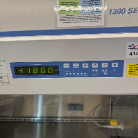 Thermo 1300 Series A2 6' BioSafety Cabinet image 0